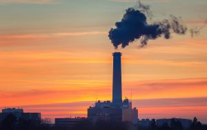 shutterstock_229279987